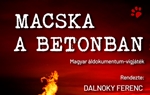 Macska a betonban – Jótékonysági vetítés